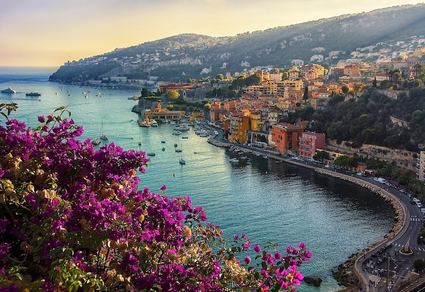 bright pink flowers growing on a cliff overlooking a waterway and heavily populated coastline