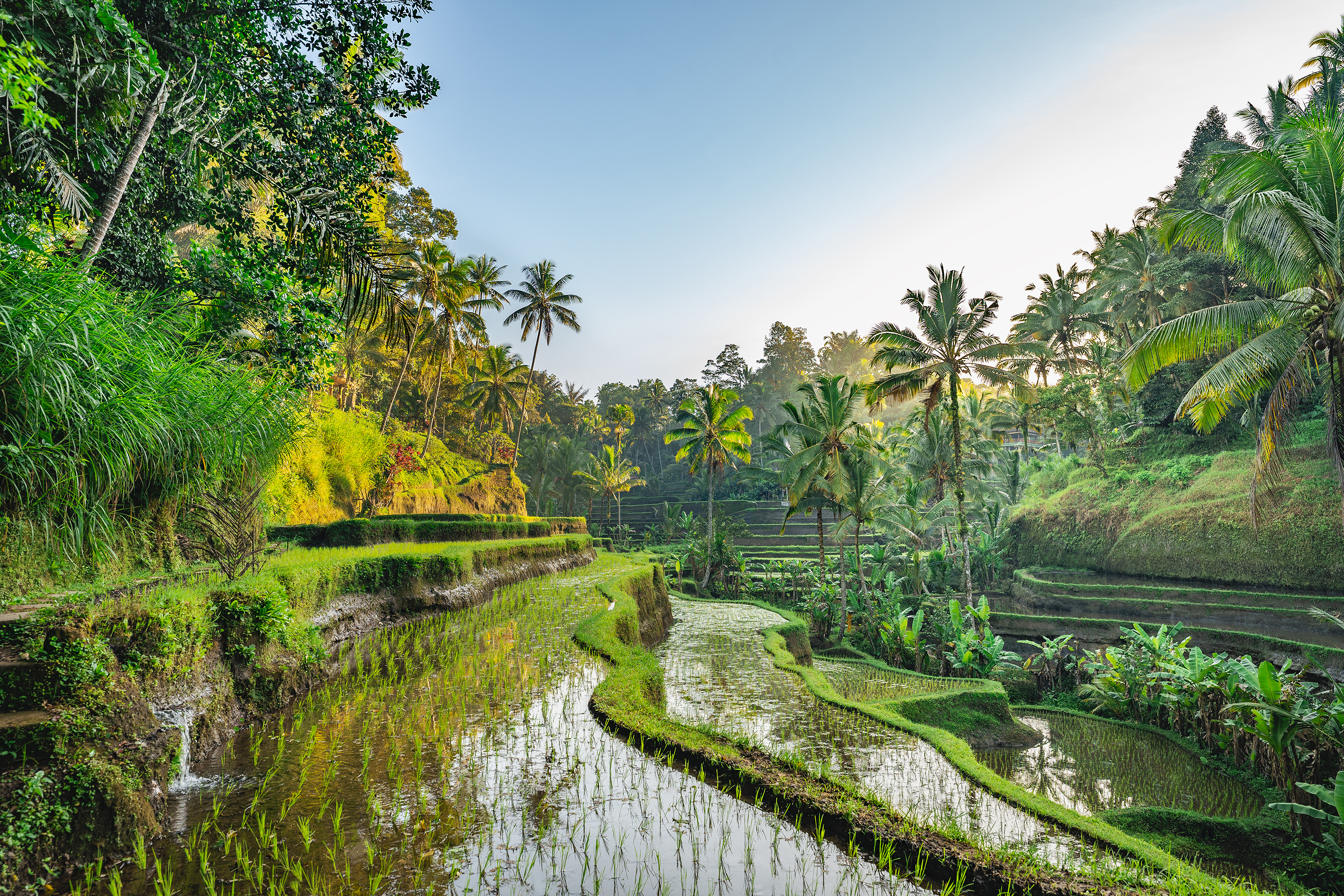 Bali