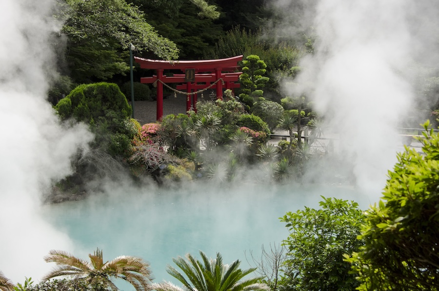 Landscape of the Cherry Blossom Splendor of Japan tour