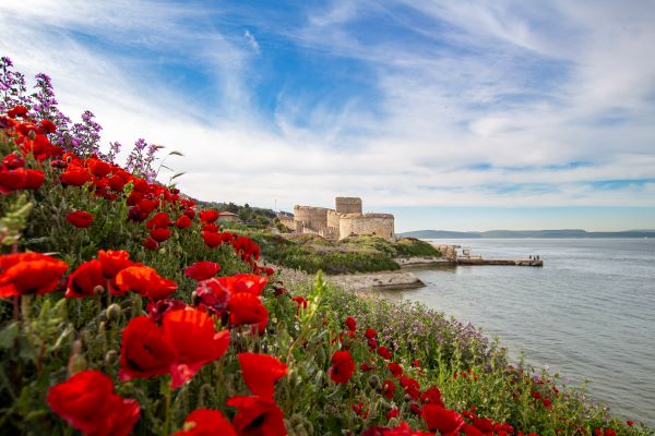 Photo of flowers and coast in Gallipoli