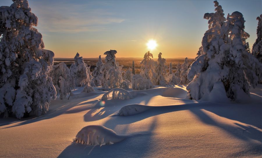 Snowy landscape in Luosto National Park in Pyha