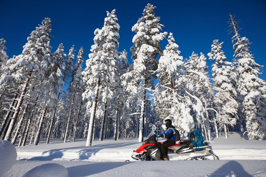 Snowmobile safari in winter landscape