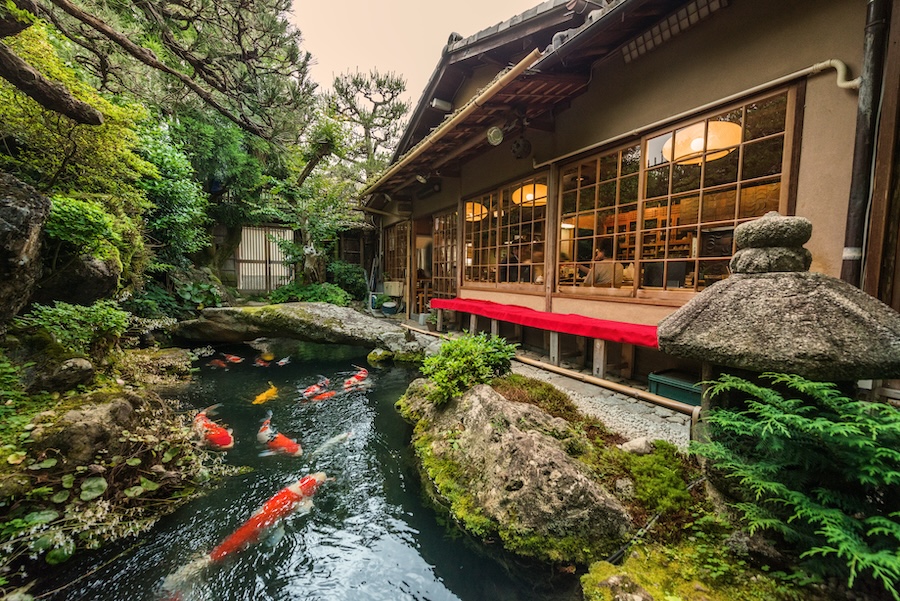 Traditional Japanese Koi pond in Kyoto Japan