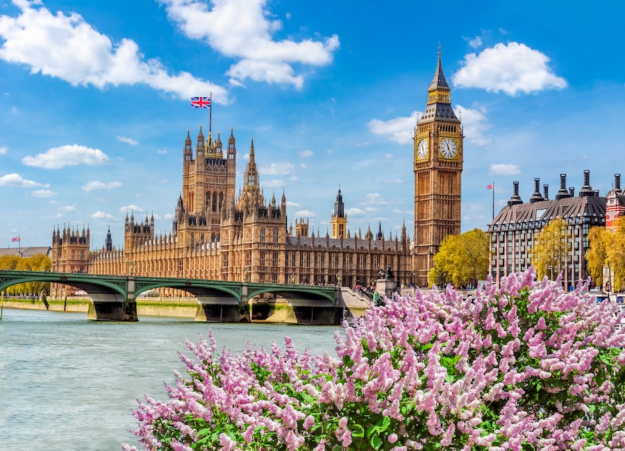 A view of London on a sunny day with flowers and a bright blue sky