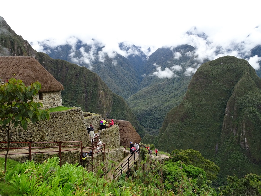 Machu Picchu train