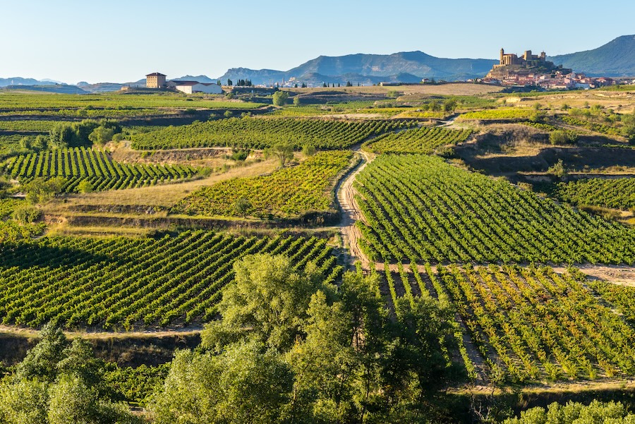 Rioja Alavesa Vineyards