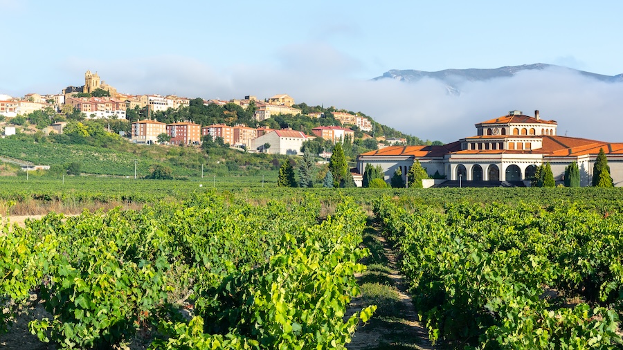 Rioja Alavesa Vineyards