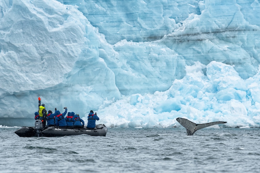 Travelers on a Zodiac skiff next to a whale