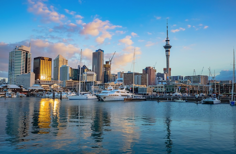 The Auckland skyline from the water