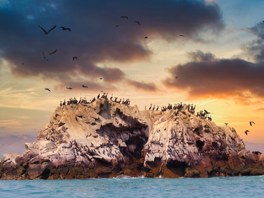 Ballestas