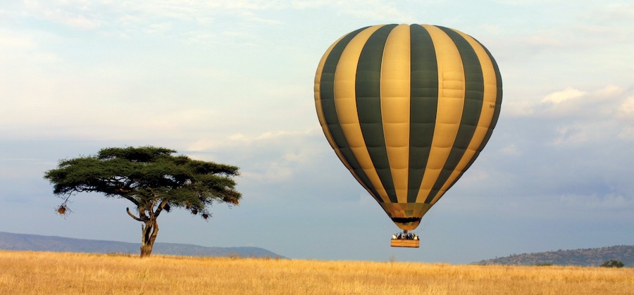 Hot air balloon next to a single tree in the plains of Africa