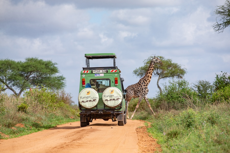 A giraffe crossing the dirt road in front of a safari vehicle