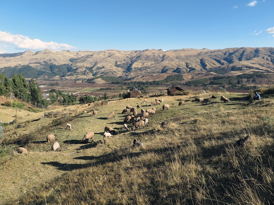 Sacred Valley