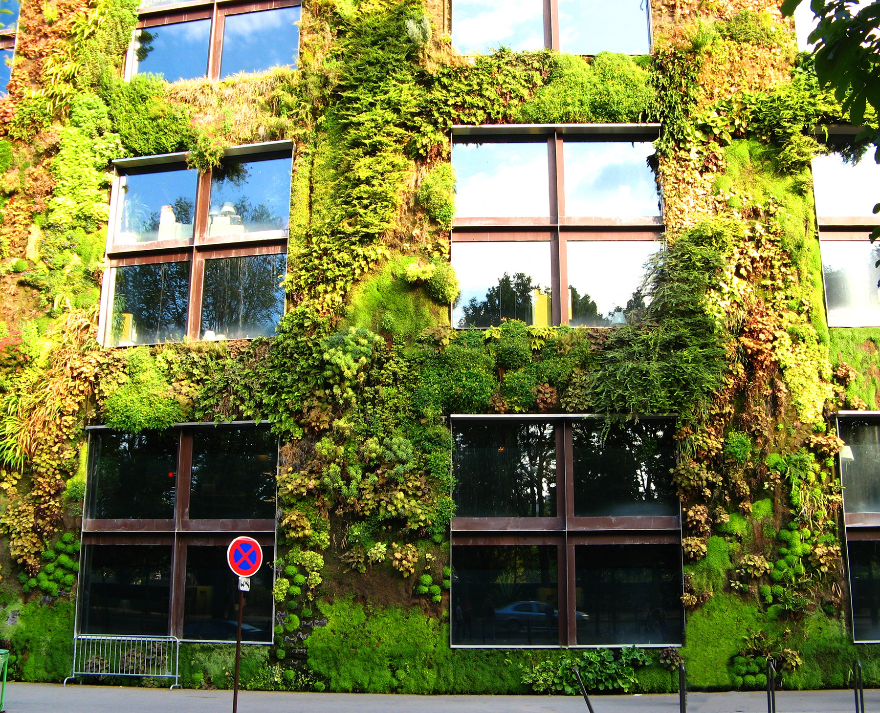 A building covered with green plants and large windows
