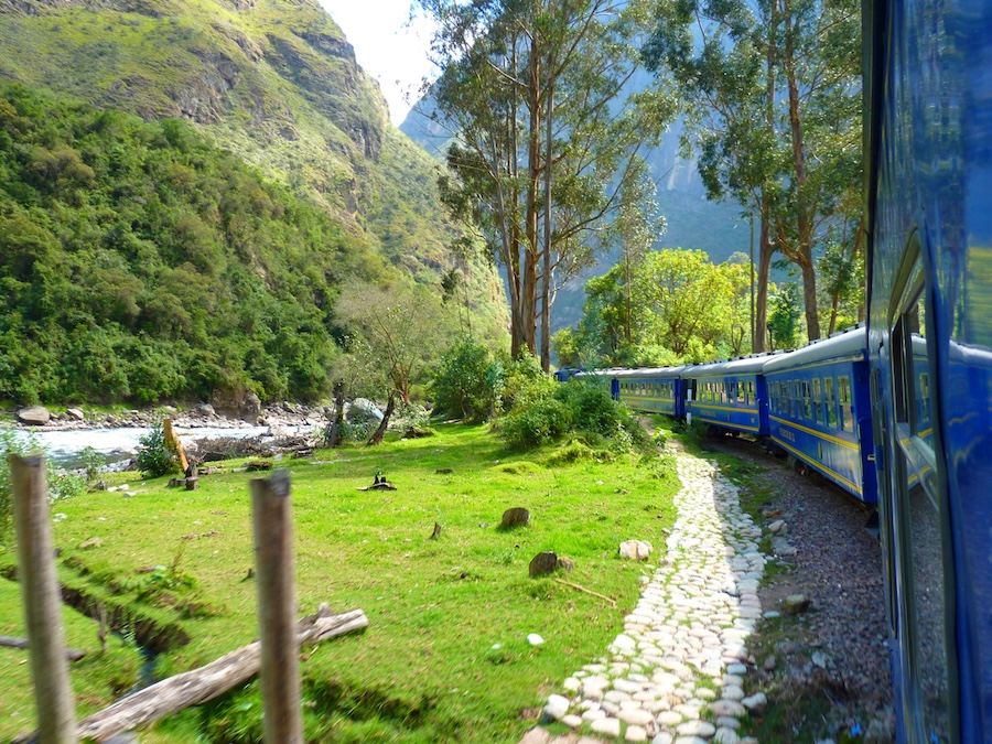 A train traveling through lush green landscapes