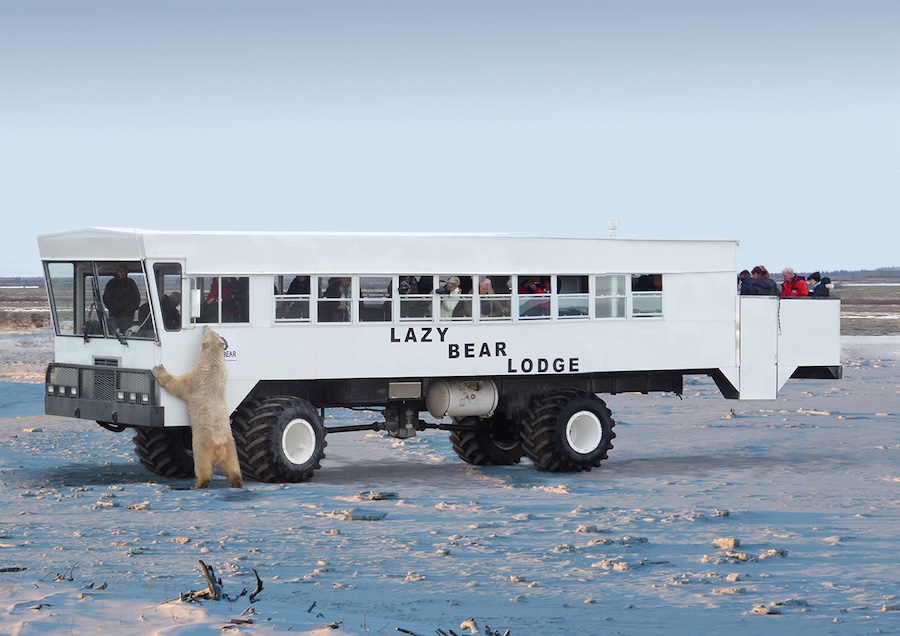 Arctic Crawler