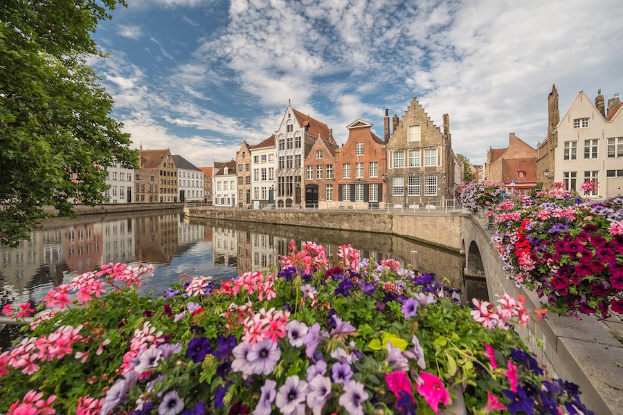 Field of colorful flowers in Bruges