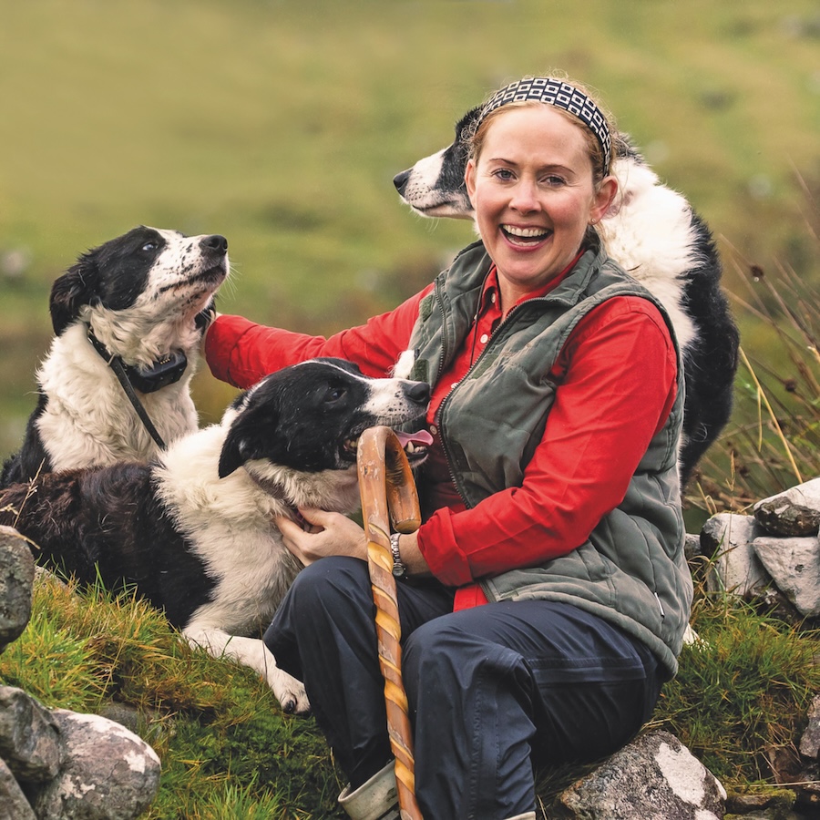 Three dogs playing with a lady on Glen Keen Farm