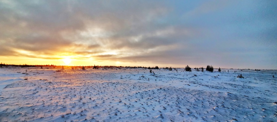 Snowy field during sunset