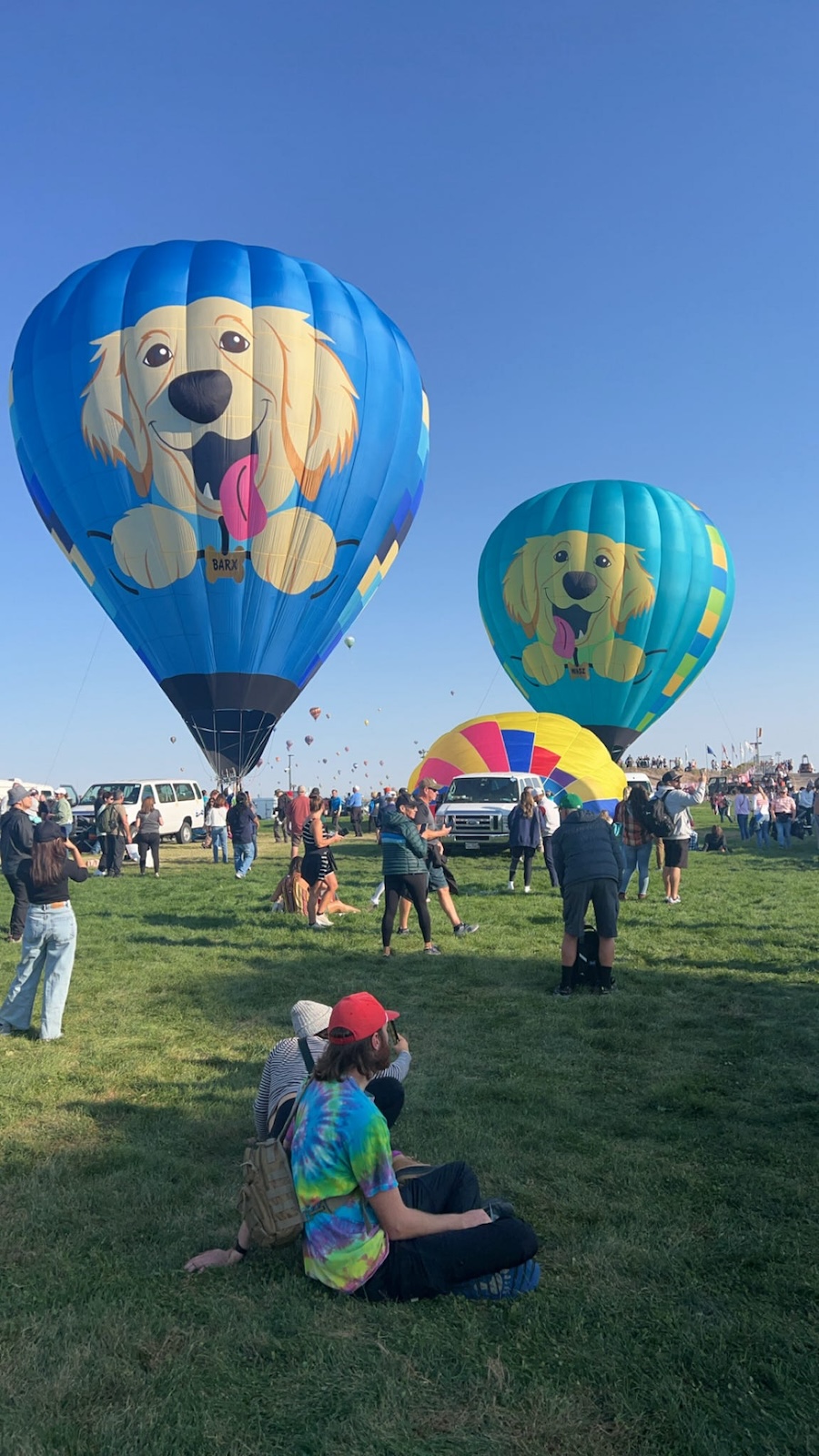 Two hot air balloons with pictures of dogs