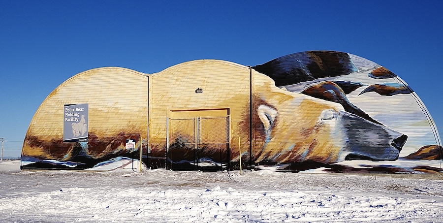 Polar bear jail