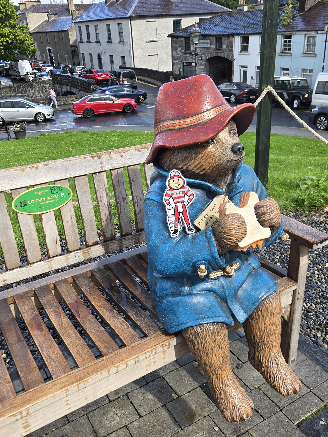Brutus sitting on the arm of a Paddington Bear statue that's eating a sandwich on a bench in Westport, Ireland.