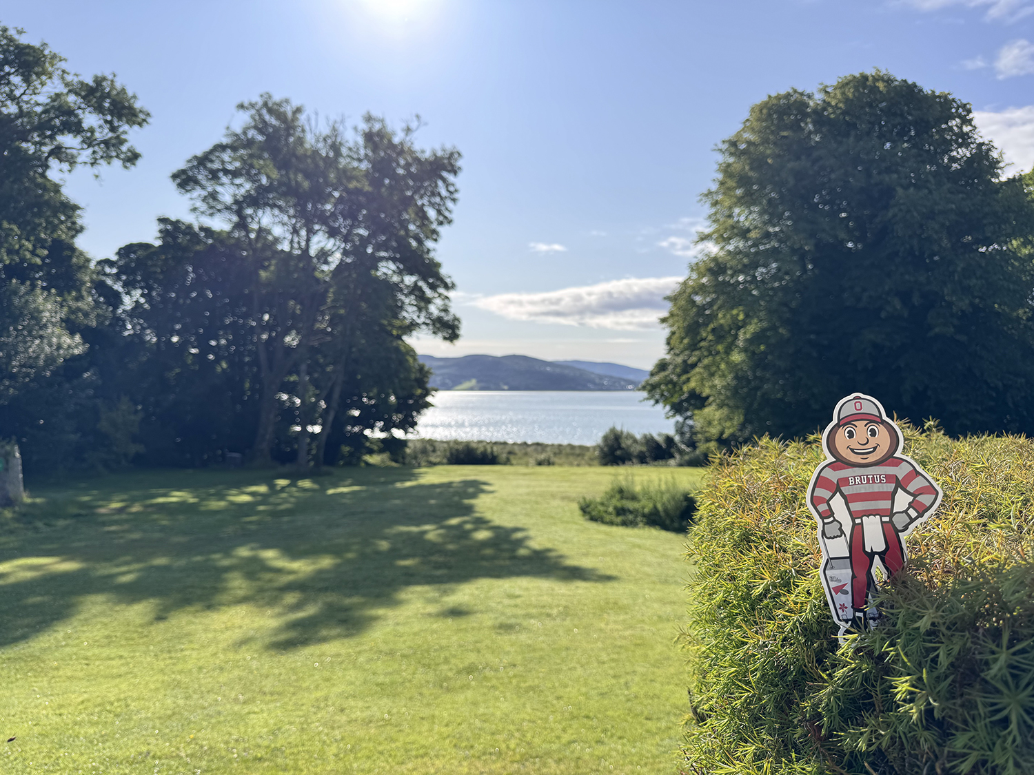 Brutus in a bush with trees and grass in the foreground, and water, mountains, and blue skies in the background in Ireland.