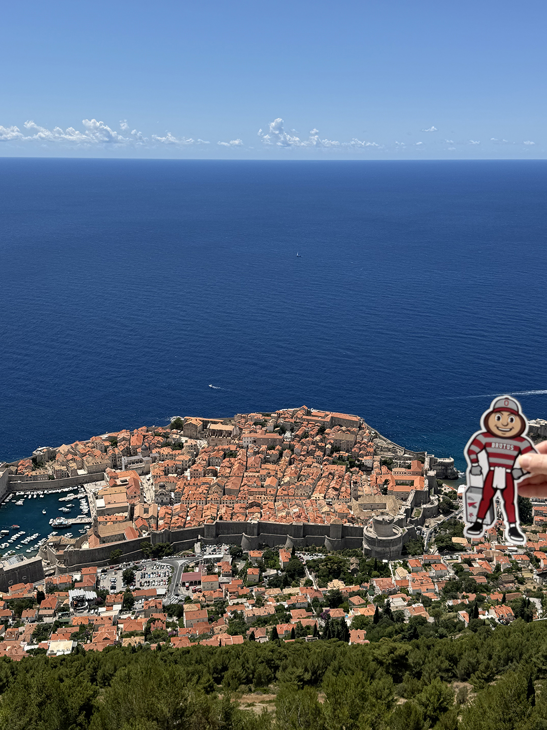 Brutus on a cliff with a small town along the ocean and blue skies in the background in Dubrovnik, Croatia.