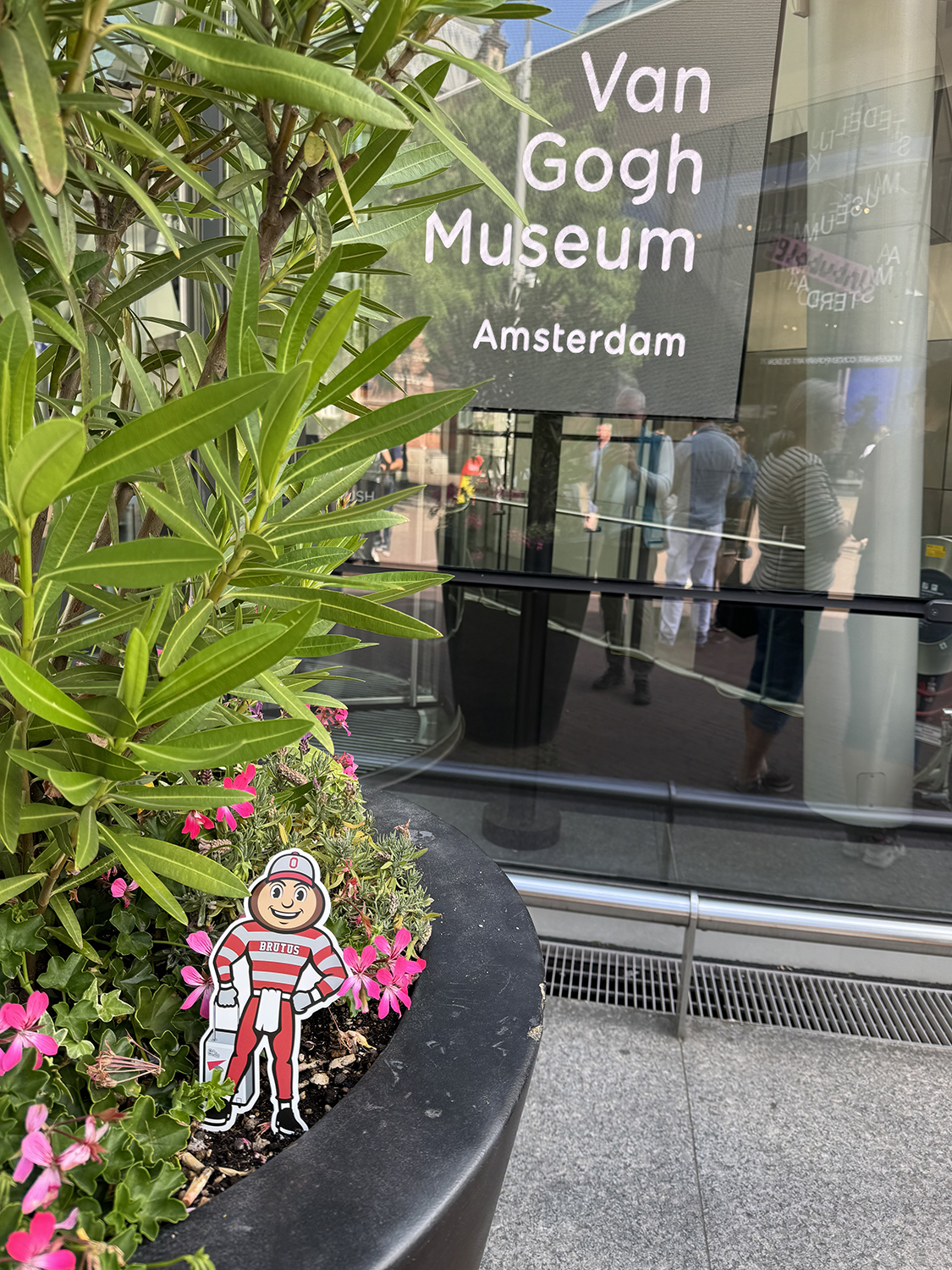 Brutus in a flower pot with a sign saying "Van Gogh Museum Amsterdam" in the background in the Netherlands.