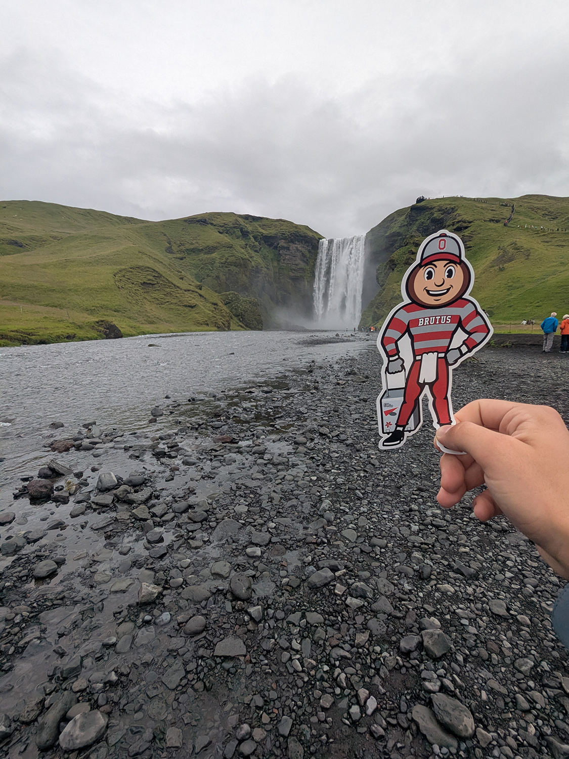 Brutus in front of a waterfall and river in Vic, Iceland.