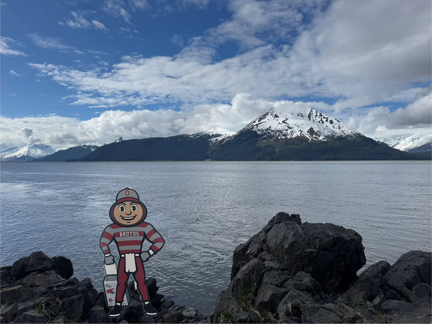 Brutus in front water and snow-capped mountains in the background in Anchorage, Alaska.