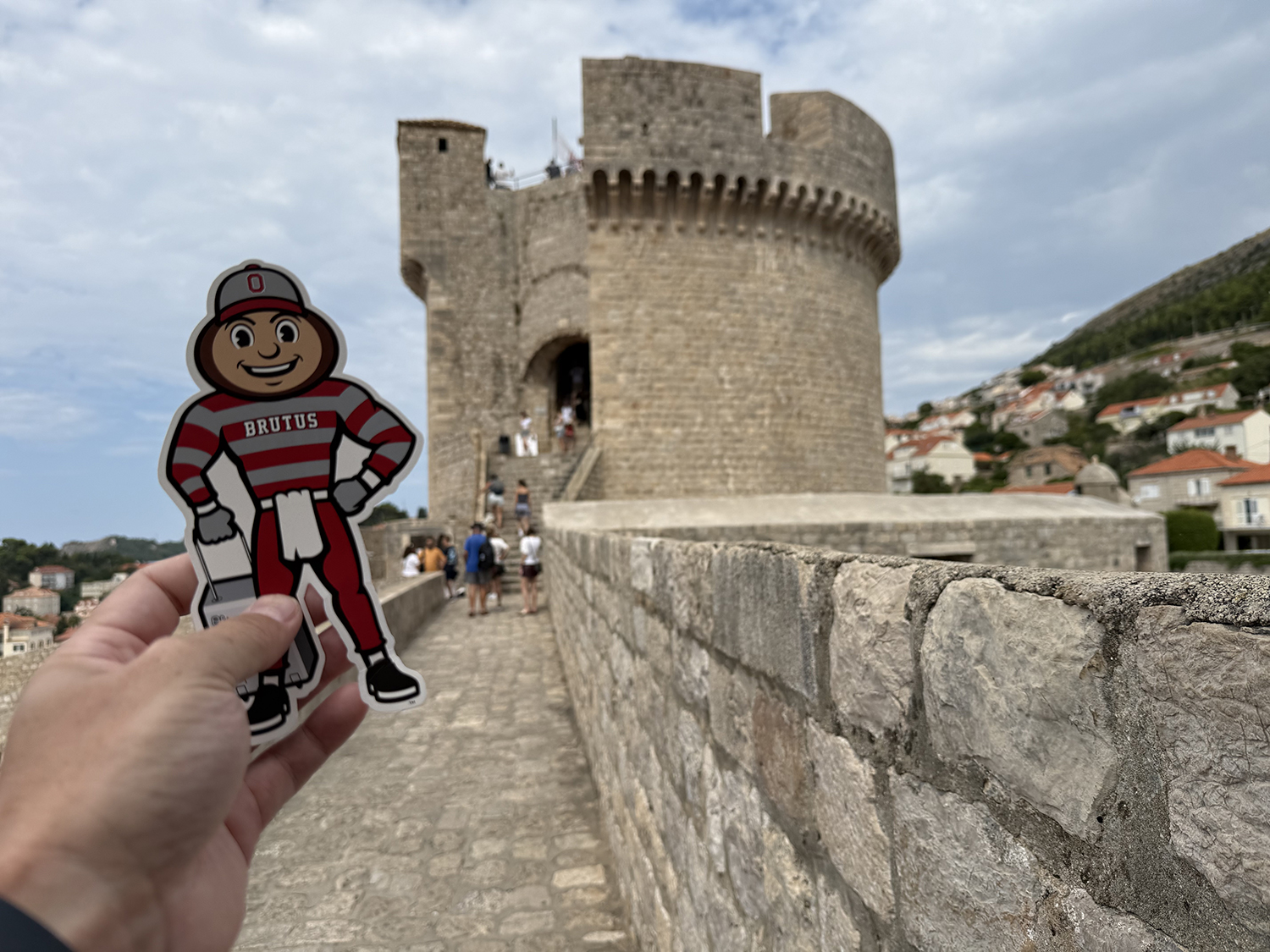 Brutus on the ancient city wall in Dubrovnik, Croatia.