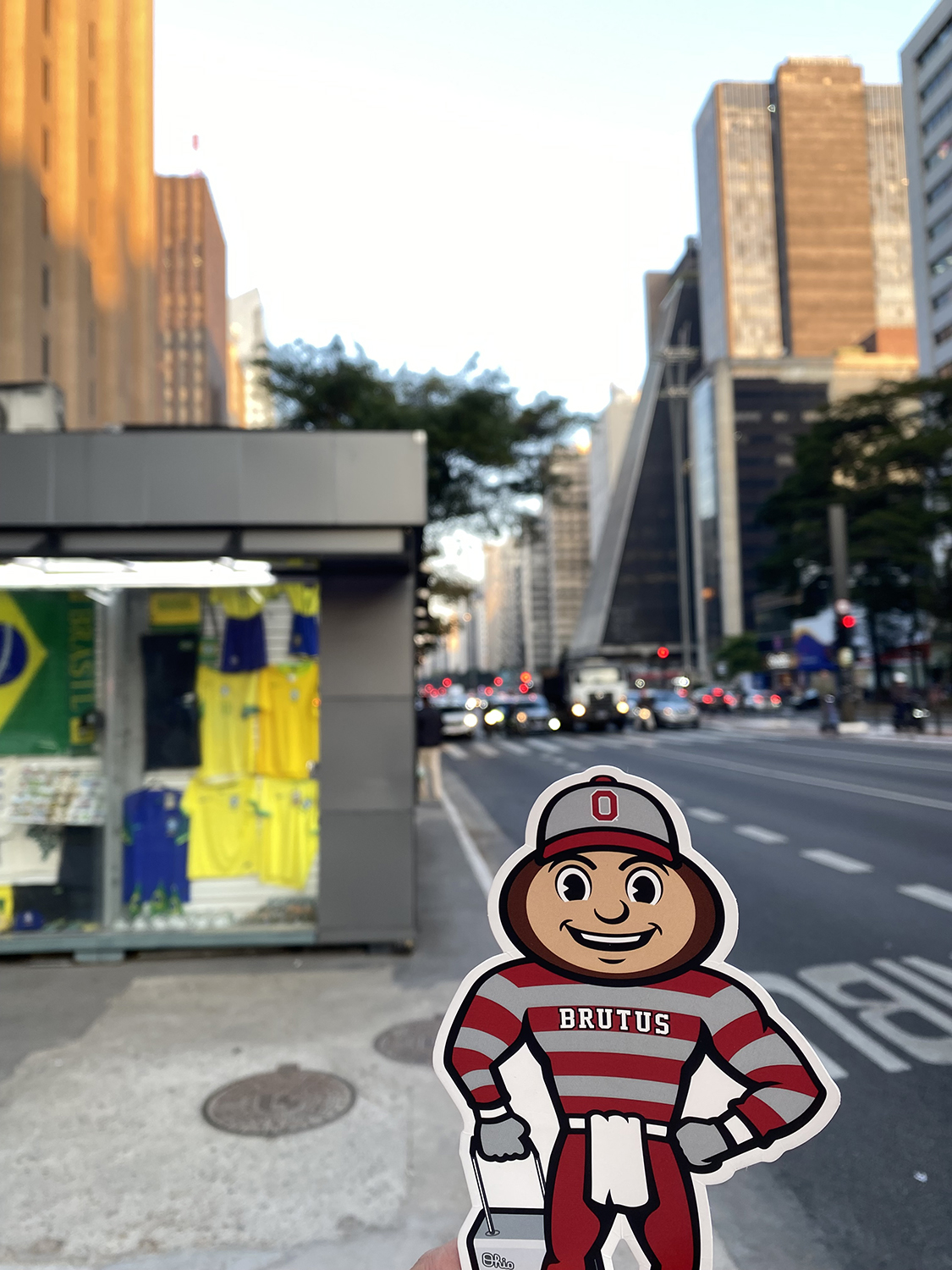 Brutus on a busy street in São Paulo, Brazil.