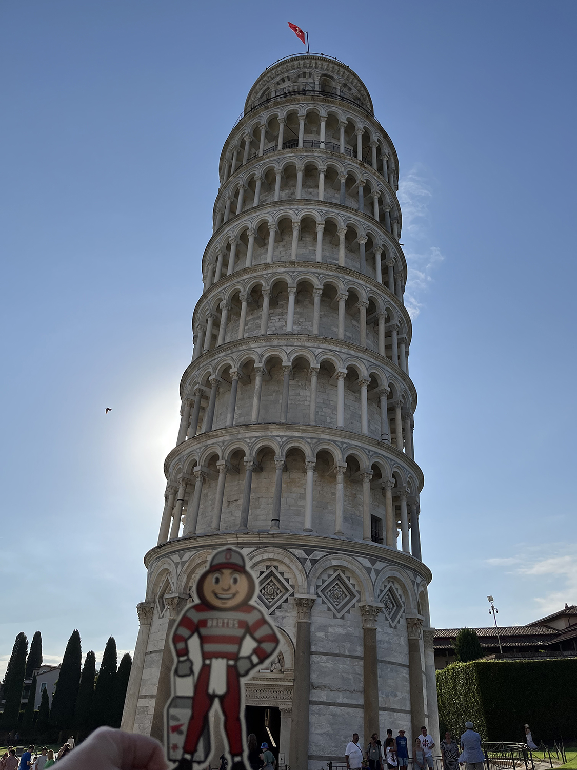 Brutus in front of the Tower of Pisa in Italy.