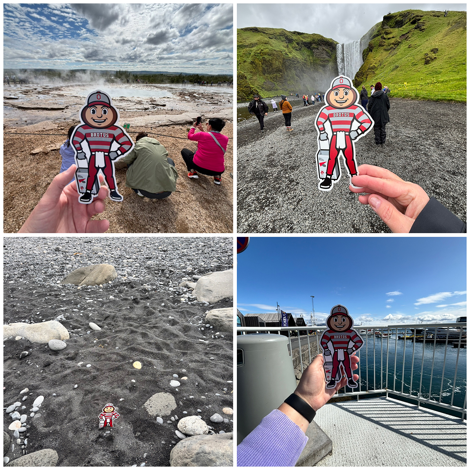 A four-photo collage of Brutus: in front of hot springs (upper left), a waterfall (upper right), dark sand and rocks (bottom left), and on a pier (bottom right) in Iceland.