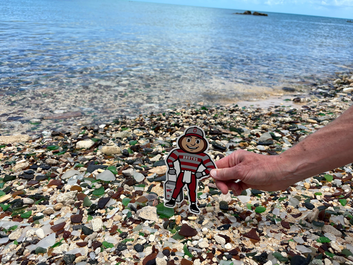 Brutus by a colorful stone beach with blue ocean water in Ireland Island South, Bermuda.