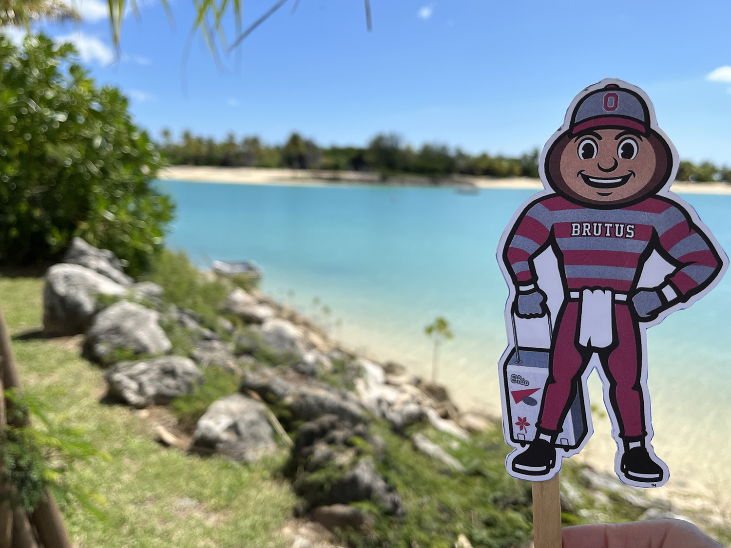 Brutus by a rocky ocean shore with blue water and white sand in Fiji.