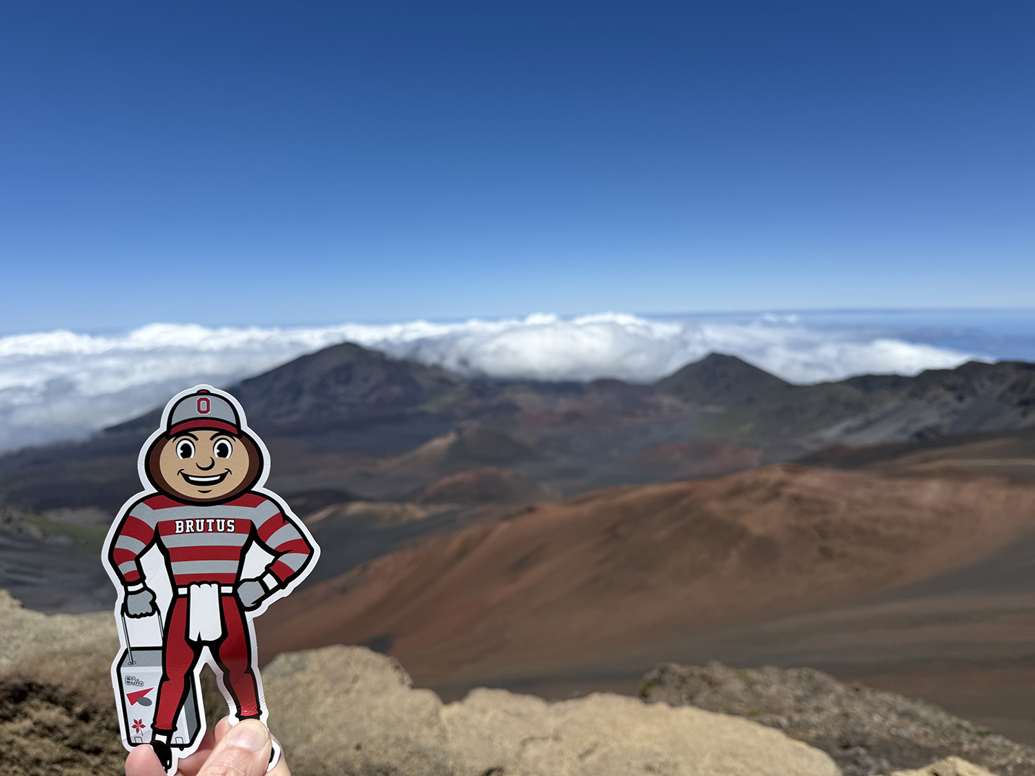 Brutus in front of rolling mountains, white clouds, and blue sky in Haleakalā National Park, Hawaii.