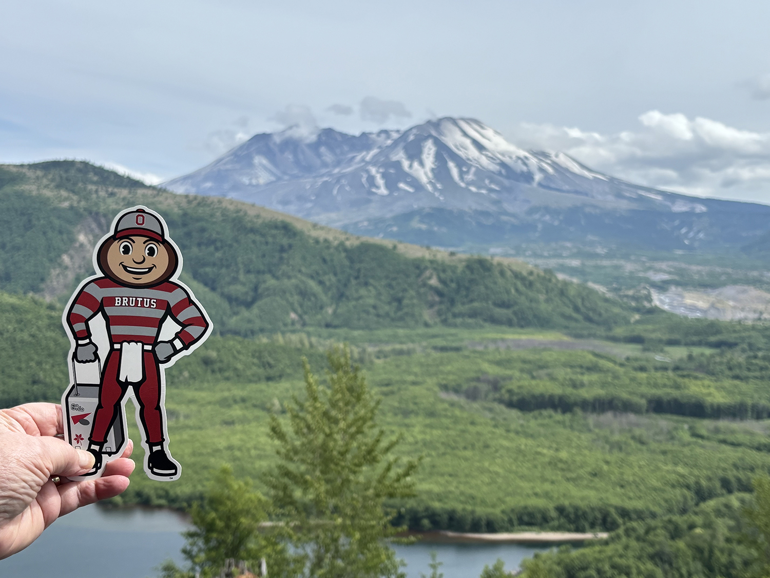 Brutus in the forground with green mountain and snow-capped Mount Saint Helens in the backgroun in Washington.