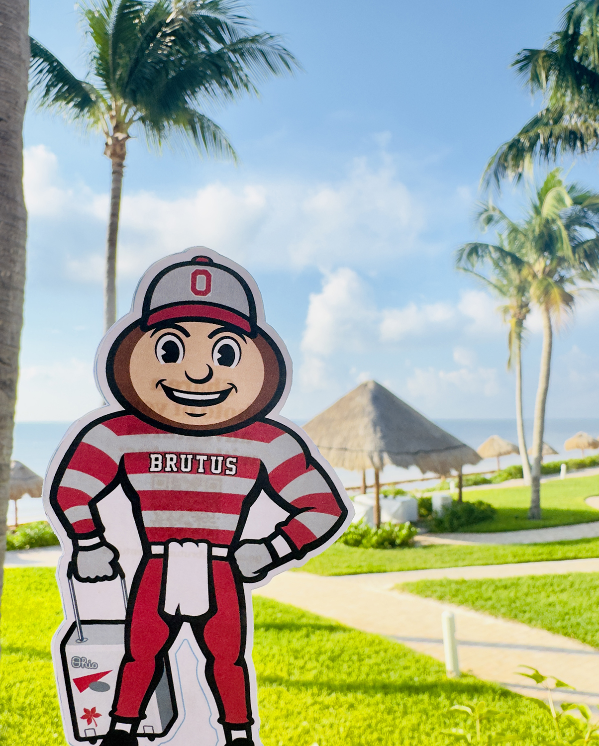 Brutus in front of a cabana, palm trees, and a blue ocean and sky in Puerto Morelos, Mexico.