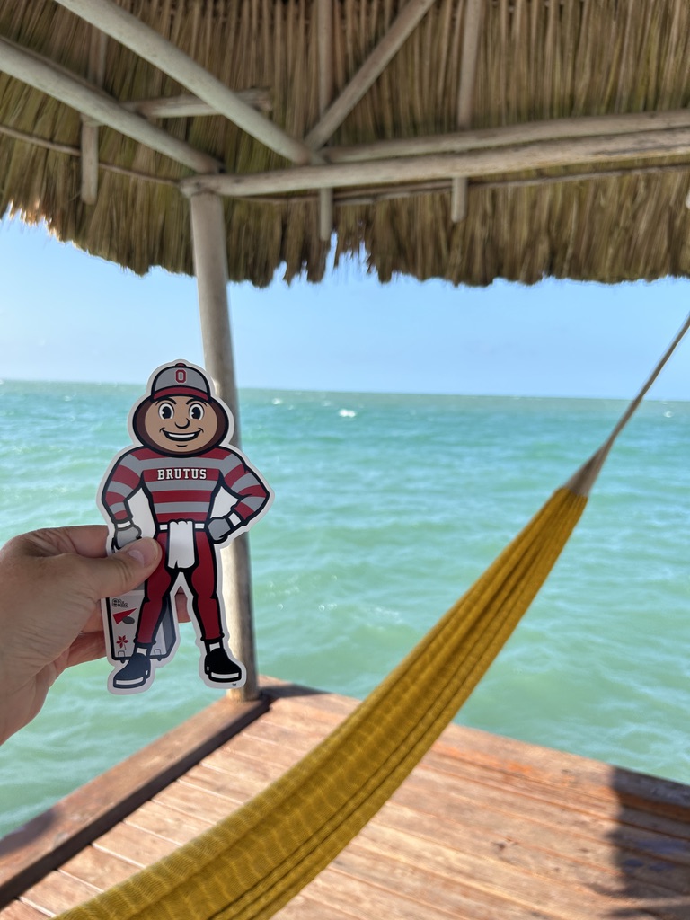 Brutus being held with a hammock, straw hut, and crystal blue waters behind him in Hopkins, Belize.