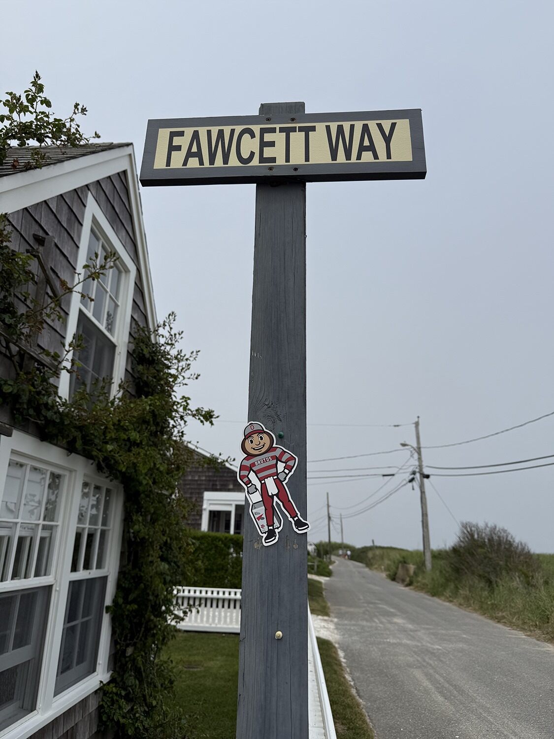 Street sign reading FAWCETT WAY on a wooden post with Brutus Buckeye cutout below; background includes a house, greenery, road, and distant power lines.
