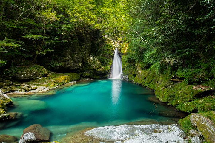 A small waterfall in Kochi that flows into a bright turquoise pool surrounded by lush green forest.