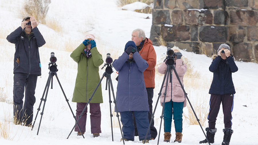 Group of six individuals doing wildlife spotting with binoculars. 