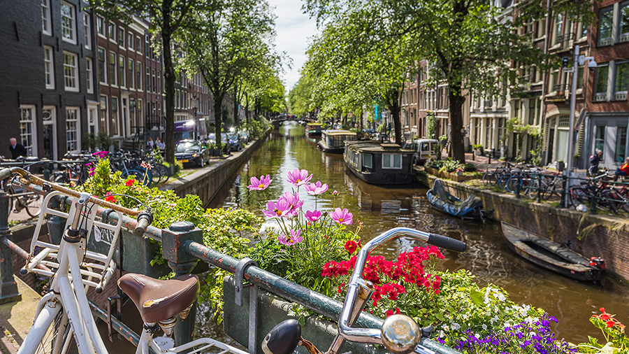 A scenic Amsterdam canal lined with trees and traditional buildings. Bicycles and vibrant flowers adorn the bridge, creating a peaceful, picturesque atmosphere.