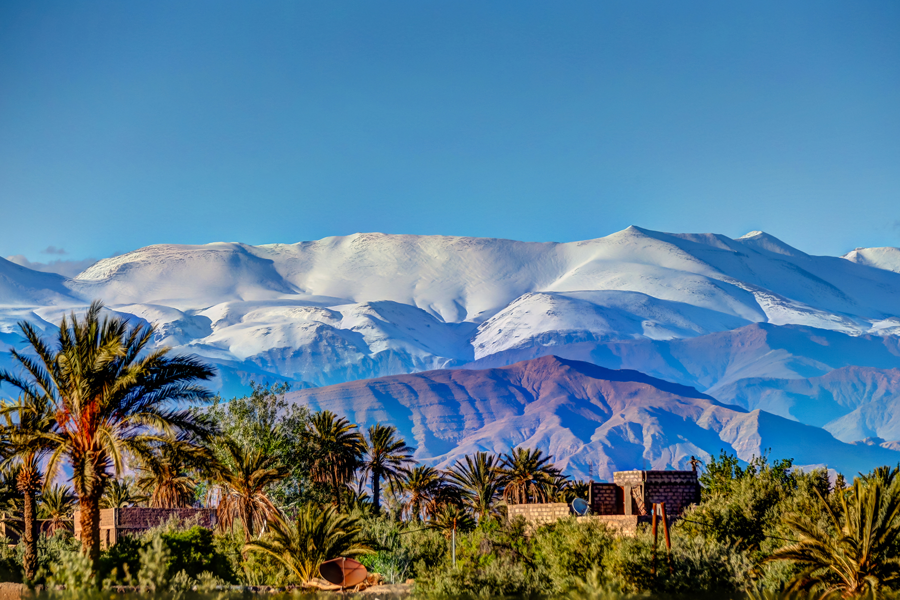 Snow-capped mountains under a clear blue-sky tower over a desert oasis with palm trees and adobe buildings, creating a serene and contrasting landscape.