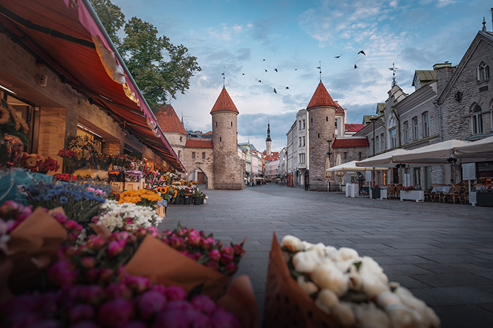Flower market in Tallinn leading toward medieval red‑roof towers in an old town square.