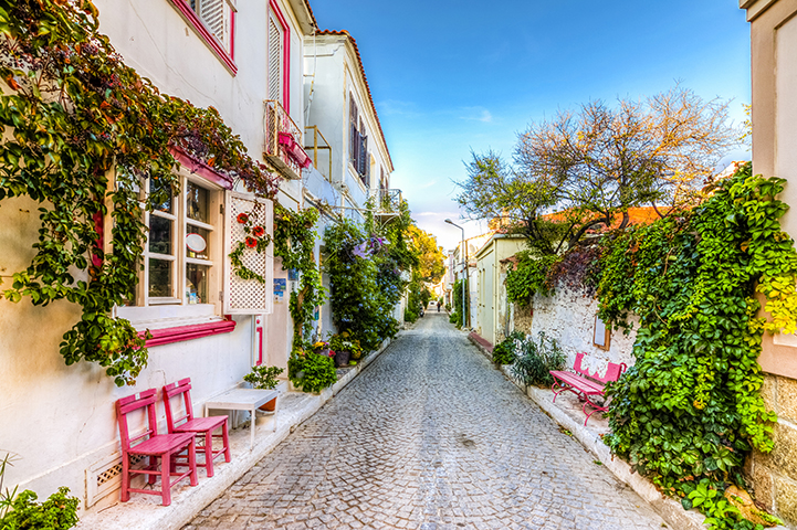 Narrow cobblestone street with colorful houses and climbing vines in Turkey.