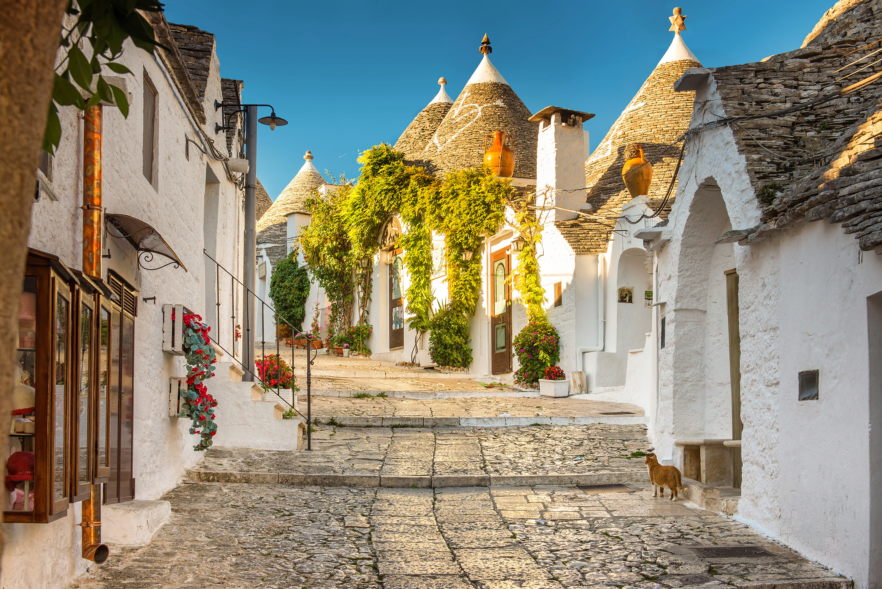 Narrow street lined with white trulli houses with conical roofs in Alberobello, Apulia.