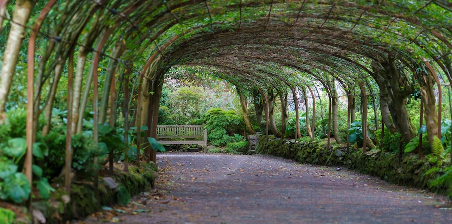 Bodnant Garden